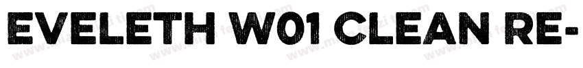 Eveleth W01 Clean Re字体转换